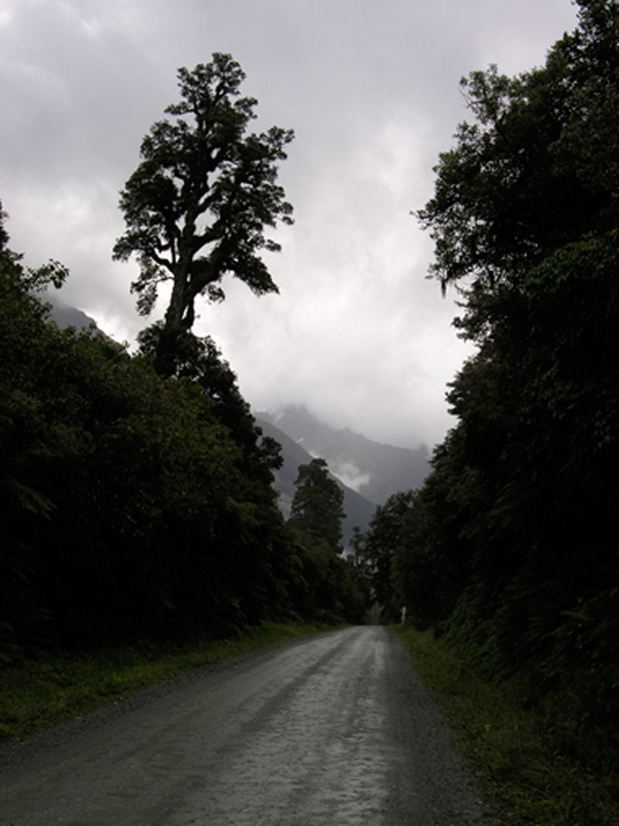 Road in Hollyford Valley with mists of Romanticism on the mountains (photo by Nigel)
