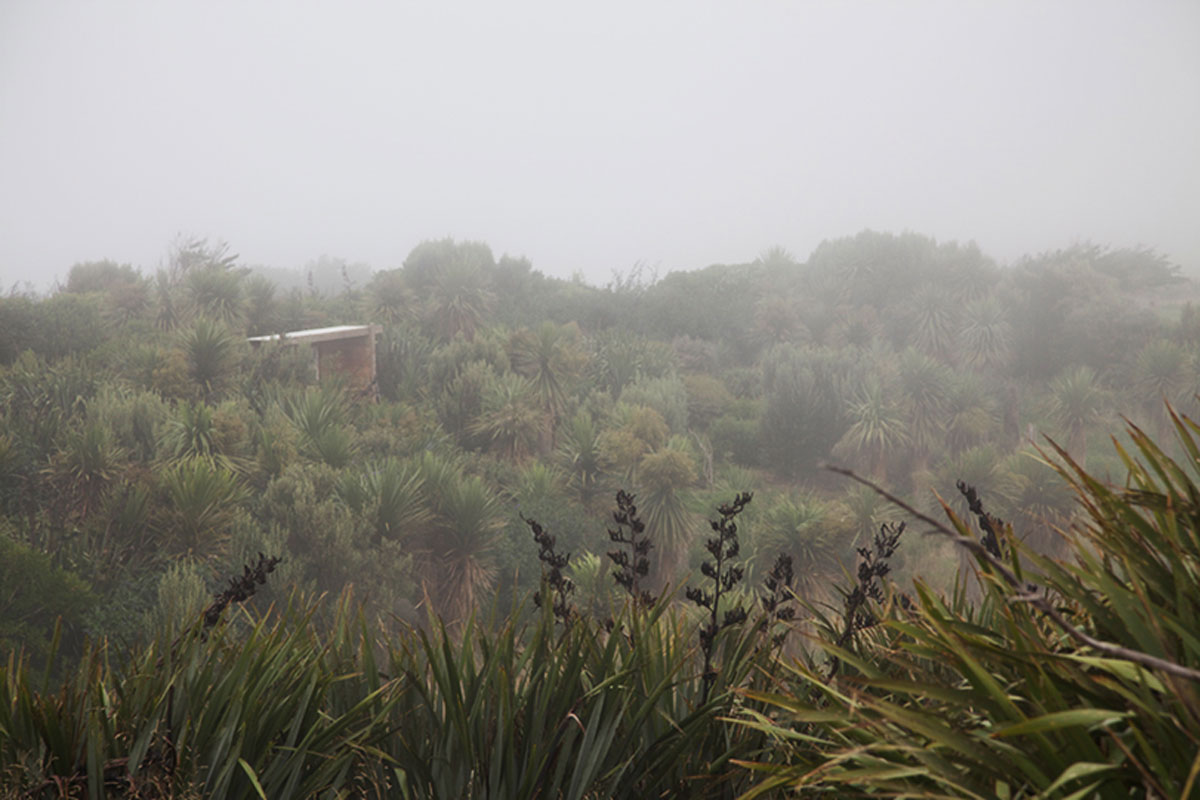 The Planting with Whare Tī